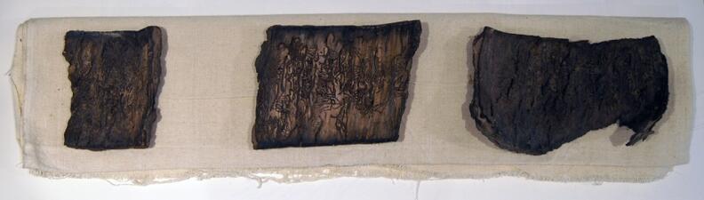 Σπασμένο Δέντρο